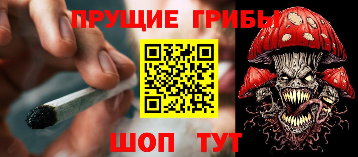 Галлюциногенные грибы Psilocybe Калач-на-Дону